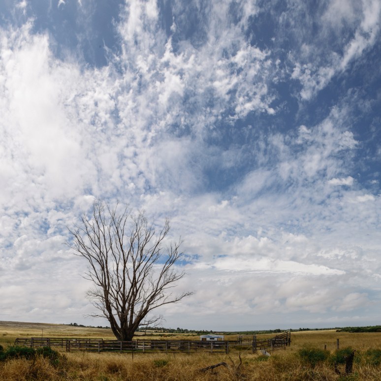 Untitled_Panorama1-2